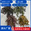 Imitação de flores Folhas de eucalipto Plástico Verde Plantando Folhas de dinheiro Flor falsa Mesa de jantar Estilo Mori Flor-estilo Flor-estilo Cross-border Hot Sale