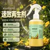 Regenerador de Ação Rápida Fertilizante Solúvel em Água Altamente Eficaz Solução Nutricional Molecular Orgânica Fertilizante para Flores de Uso Geral Planta em Vaso Fortuna e Riqueza