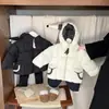 Ropa de Invierno Linda de Algodón Acolchado para Niñas, Nuevo Elegante Gorro Puntiagudo para Bebé, Chaqueta de Algodón Engrosada, Ropa Cálida para Bebés, Moderna