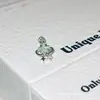 Coleção de Unhas de Osso de Ouvido de Aço Titânio Verde Menta Transparente Pequenas Frescas Microcravejadas com Zircônia Doces Brincos de Trevo de Quatro Folhas