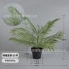Conjunto Bonsai de Suculentas Artificiais Transfronteiriço, Mini Suculenta Artificial de Planta Verde Pequeno Bonsai Estilo Ins para Casa Escritório
