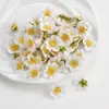 Flor de simulação flor de pereira flor de seda flor artificial tiara material diy grampo de cabelo flor guirlanda feita à mão acessórios de cabelo decorativos