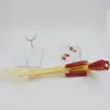Modelo de Osso do Membro Superior do Esqueleto Humano com Nervo e Músculo 1:1 Modelo de Articulação da Mão do Membro Superior Pode Ser Dobrado