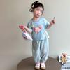 Traje de camiseta de dibujos animados de verano para niñas 2025 Nuevo Pantalón antimosquitos para niños Conjunto casual de dos piezas Ropa de bebé de algodón puro