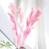 Material de flor eterna Hoja de naranja fresca eterna Flor seca Festival de primavera Arte Decoración del hogar Arreglo floral Ramo de flores Fábrica de Yunnan Venta al por mayor