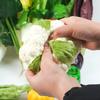 Adereços de educação infantil por atacado, adereços de estúdio para filmagem, enfeites de janela, repolho falso, rabanete, modelo de vegetal falso, simulação de vegetais