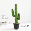 Flor Artificial Cacto Tropical Pequeno Bonsai Flor de Simulação Moda Criativa Decorações para Casa Simulação em Vaso Fábrica Outlet