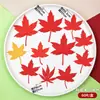 Decoração de bolo de folha de bordo, enfeites de pasta americana finalizados, biscoitos de castanha comestíveis, enfeites de mesa de sobremesas mousse da moda de outono