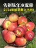 Yunnan Zhaotong Cidade Doce de Rocha Coração Maçã Feia 2001 Fresca Caixa Inteira Colhida Frescamente Enviada Presente Naturalmente Madura China