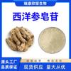 Saponinas de Panax quinquefolium 80% Extracto de Panax quinquefolium Extracto de Panax quinquefolium Extracto de tallo y hoja 1KG