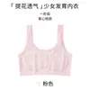 Ropa interior para estudiantes en período de desarrollo, Estudiantes de primaria, Estudiantes de secundaria, Etapa uno, 6-12 años, Ropa interior para niñas, Camisola, Camiseta sin mangas