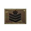 Parches Bordados de Rango Militar en Stock Transfronterizos, Parches Tácticos Militares de Moral, Brazaletes de Velcro