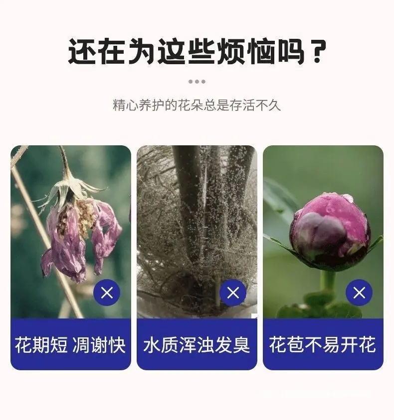 332231a9-b80e-4e6a-b4d7-20039b842fae.jpe