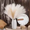 Decoración para el Hogar Boda 4 Ramas Hierba de Pampa Fabricante Estilo Ins Flores Artificiales Venta al por Mayor Transfronteriza Manualidades de Flores Artificiales