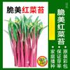 Sementes de Vegetais para Todas as Estações, Adequadas para Plantio em Vasos em Varandas e em Jardins, Incluindo Pimentas, Melões Doces, Pepinos e Sementes de Outono de Fácil Cultivo, Como Cebolas Pequenas e Aromáticas