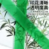Ventas Directas de Fábrica Correa de Empaque de Plástico Acero Verde Transparente 1608 Correa de Plástico Acero Pet Embalaje de Caja de Madera para Logística Tablero Materiales de Construcción