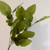 Arrume arranjos florais com cachos de folhas de toranja para realçar a altura do teto em um salão de casamento com tema de floresta, e use folhas decorativas para montar uma parede de fundo.