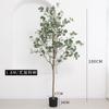 Árboles de Eucalipto Simulados, Plantas En Maceta de Pie para Ventana de Hogar/Oficina, Plantas Verdes Decorativas, Árboles de Dinero Artificiales al Por Mayor