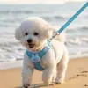Correa de Perro Linda de Dibujos Animados para Perros Pequeños y Medianos, Arnés Chaleco para Mascotas Anti-Shock Arnés de Pecho Correa para Pasear Perros