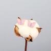 Aretes de Mariposa Estilo Celebridad de Internet Mismo Estilo Goteo de Aceite Joyería Coreana Dongdaemun Estilo Frío Personalidad Retro Aretes Elegantes
