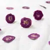 Flores de rosa, flores prensadas, flores secas, cartões de felicitações DIY, marcadores de página, acessórios para joias de resina, materiais para velas perfumadas, folhas secas prensadas, real