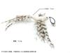 Xingzhi Gato Ventosa Alambre de Acero Largo Imitación Pájaro Palo Divertido para Gato Succión Rápida Cabeza de Repuesto para Gato Suministros para Gato Juguetes para Morder