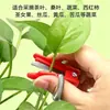 Ferramenta de Dedilhado Transfronteiriça, Faca Anel, Pequena Ferramenta de Colheita, Mini Guilhotina, Faca para Colher Frutas, Faca Universal Atacado