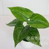 Atacado de fábrica planta de simulação flor artificial de plástico material de parede de planta folha com sensação de cola folha casco de tartaruga endro verde