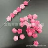 Cor de Doce Pó de Concha Prensado Pétalas Estéreo 8/10mm Camélia Furo Cruzado DIY Pulseira Colar Artesanal Acessórios Atacado