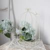 Decoraciones de Jaula de Pájaros de Hierro Estilo Pastoral Ins Set Creativo Americano Dos Estantes de Flores Suculentas Adornos para Macetas Accesorios de Boda