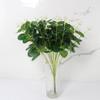 Simulación de una sola planta de eucalipto, planta verde, decoración, caja de regalo, corona, accesorios de decoración, arreglo floral, accesorios de fotografía, dinero, hoja