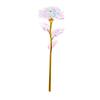 Cor Folha de Ouro 24K Rosa Cravo Dia dos Namorados Dia das Mães Festival Qixi Simulação Luminosa Flor Preservada