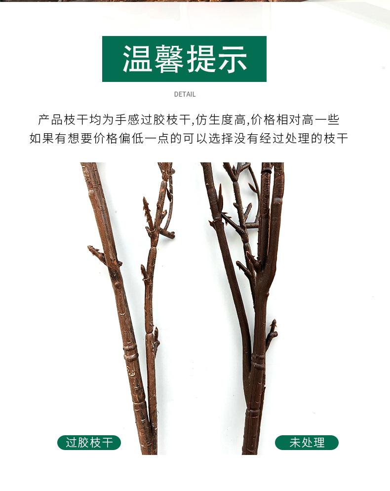 小石榴(2)(1)_02.jpg