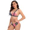 9008# oferta nuevo bikini sexy transfronterizo europeo y americano para mujer, traje de baño, bikini de dos piezas con relleno