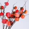 Decoración de sala de estar, cinco cabezas de caqui, decoración de frutas, arreglo floral, ramo, piso, flores secas, todo va bien, simulación de caqui.