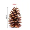 Pinhas naturais transfronteiriças, pinhas, pingentes de decoração para guirlanda de Natal DIY, adereços de arranjo de cena de pinho americano