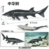 Simulación transfronteriza modelo animal cognición oceánica pez dorado piraña pez volador pez globo pez piedra pez mariposa juguete
