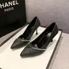 Zapatos de Tacón Alto para Mujer 2024 Primavera y Verano Nuevo Estilo Sexy Tacón de Aguja Punta Fina Pedrería Calzado de Trabajo Poco Profundo Versátil Planos de Celebridad de Internet