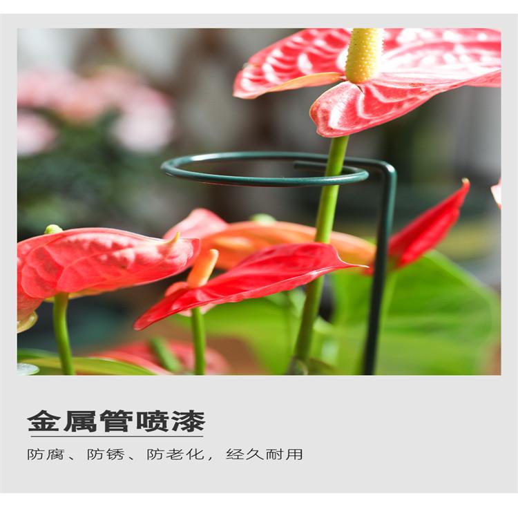 O1CN01ZfciaY1GnWnfPN9vM_!!2273