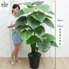 Qin Ye Rong Planta Fotográfica en Maceta Hotel Planta Verde Falsa Biónica Decoración de Sala de Estar Árbol Falso de Pie Flor Falsa Puerta