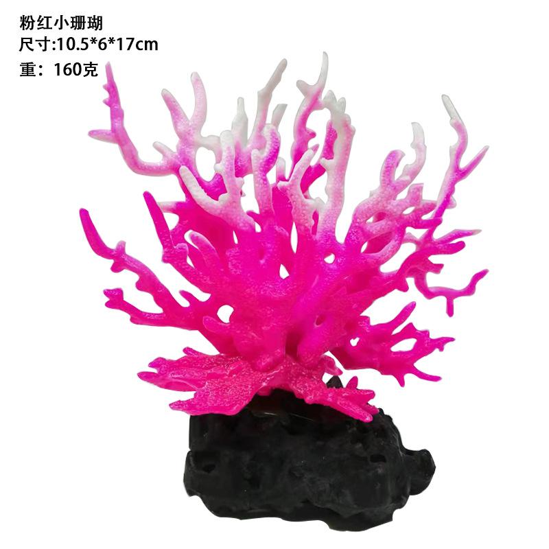 小粉红珊瑚