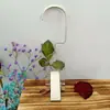 Gancho de Madeira Maciça Clipe Cabideiro Loja de Roupas Chapéu Transparente Clipe Decorativo Giratório Madeira Original Clipe Único de Exibição Clipe para Lenço Fivela
