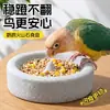 Comedero volcánico para loros, comedero y bebedero anti-derrames para pájaros, adecuado para cacatúas y periquitos, para afilar el pico y las garras, con recipiente flotante de piedra