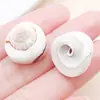10g Colgante de Concha Natural Perforada Oceánica DIY Creativo Hecho a Mano Cadena de Cintura Collar Llavero Accesorios de Joyería Materiales