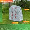 Altavoces de césped para exteriores, impermeables, para parques, jardines, césped, piedra, simulación de animales, rocalla, jardín.