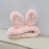 Diadema de Cara de Dibujos Animados de Invierno para Mujer, Diadema Estilo Coreano de Celebridad de Internet, Diadema Dulce y Linda para Lavado de Cara y Mascarilla Facial para Estudiantes