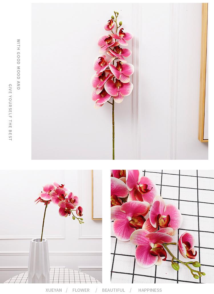 3d6头小兰花_07.jpg