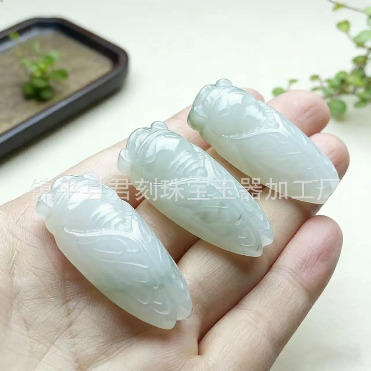 微信图片_20260305185317_10688_124.