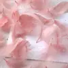Cor de macaron pena pequena pena de ganso flutuante pequena decoração de casamento festival palco material de enchimento de caixa de presente atacado
