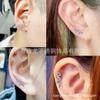 F136 Aleación de Titanio Aretes de Serpiente Labio Uñas Rosca Interna Uñas para Hueso de la Oreja Titanio Forma de Serpiente Fondo Plano Joyería para Perforación Venta Caliente Transfronteriza